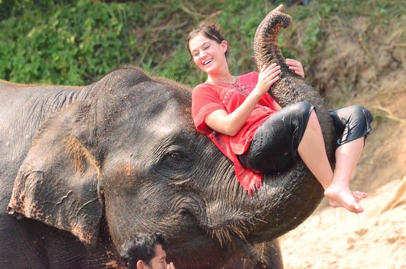 Chiang Mai, Thailand: Dante’s Elephant Camp