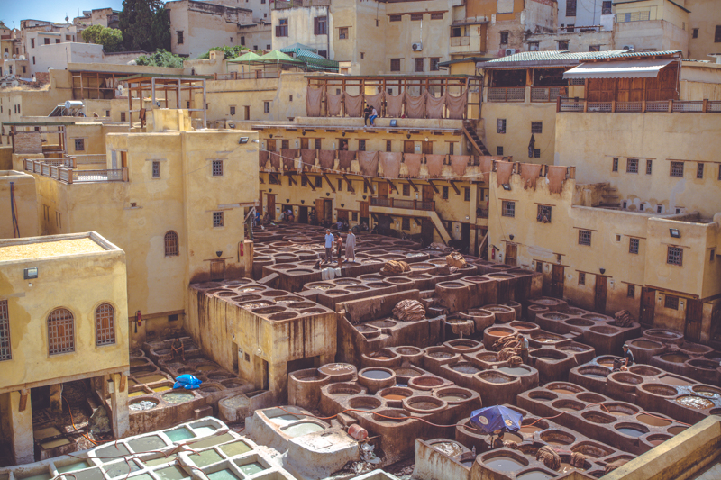 Fes, Morocco: Home of the largest medina in the world