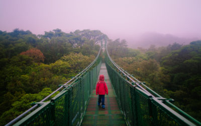 Monteverde Cloud Forest, Costa Rica: Getting lost in the rainforest
