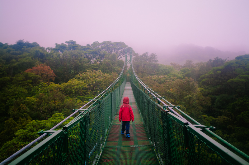 Monteverde Cloud Forest, Costa Rica: Getting lost in the rainforest